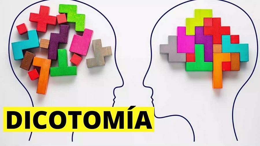Evitando a dicotomia entre a teoria e a prática - ADIBERJ